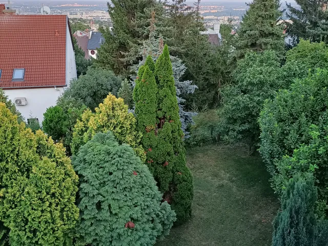 Eladó ház Budapest XII. kerület, Magasút 700 nm