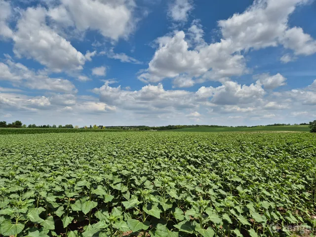 Eladó telek Balatonfőkajár, Kiskajári utca 700 nm