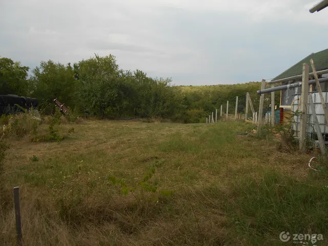 Eladó mezőgazdasági ingatlan Szomód 3000 nm