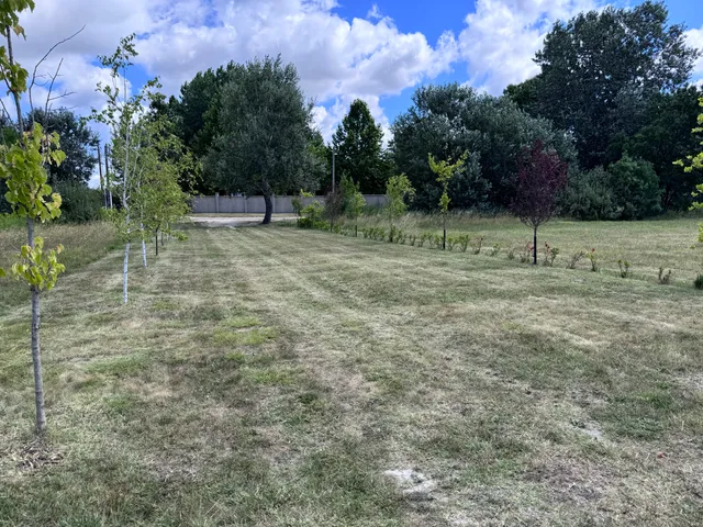 Eladó telek Dabas, Szőlőhegy 24800 nm