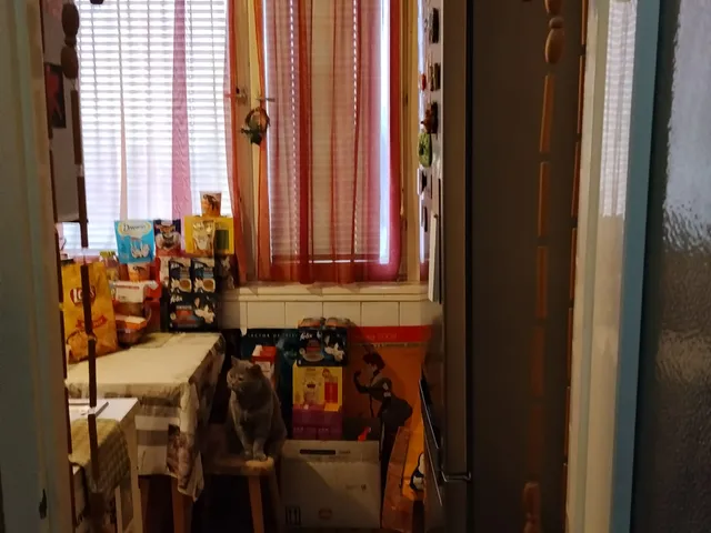 Eladó lakás Szeged 47 nm