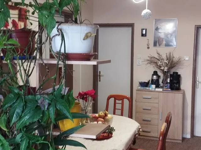 Eladó ház Budapest XVII. kerület 154 nm