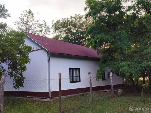 Eladó mezőgazdasági ingatlan Balástya 140 nm