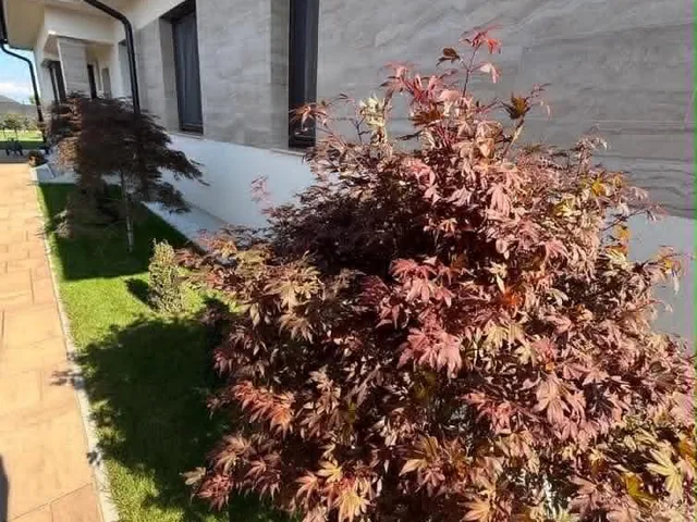 Eladó ház Szombathely, Olad 100 nm
