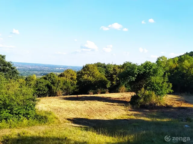 Eladó telek Szentendre 25037 nm