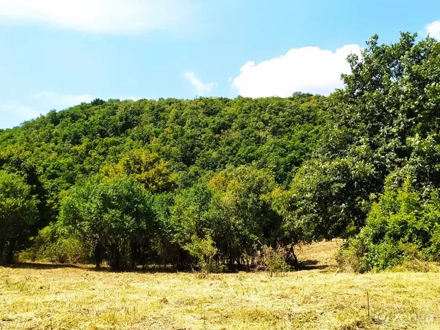 Eladó telek Szentendre, Barackvirág utca 25037 nm