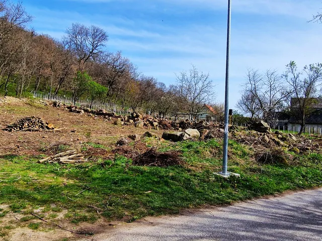 Eladó telek Badacsonytomaj, Badacsony, Kiserdő út 11. 1154 nm