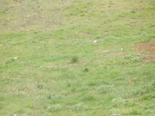 Eladó telek Esztergom 872 nm