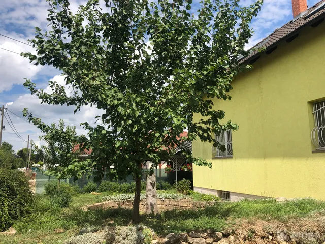 Eladó ház Érd, Tusculanum, Bagoly utca 92 300 nm