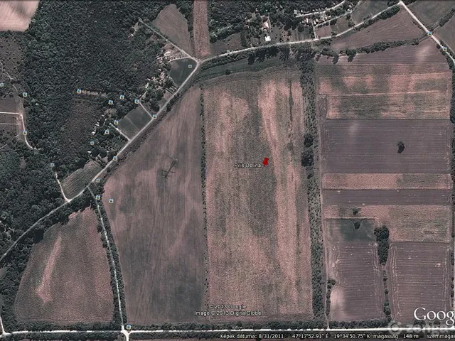 Eladó mezőgazdasági ingatlan Pilis 122254 nm