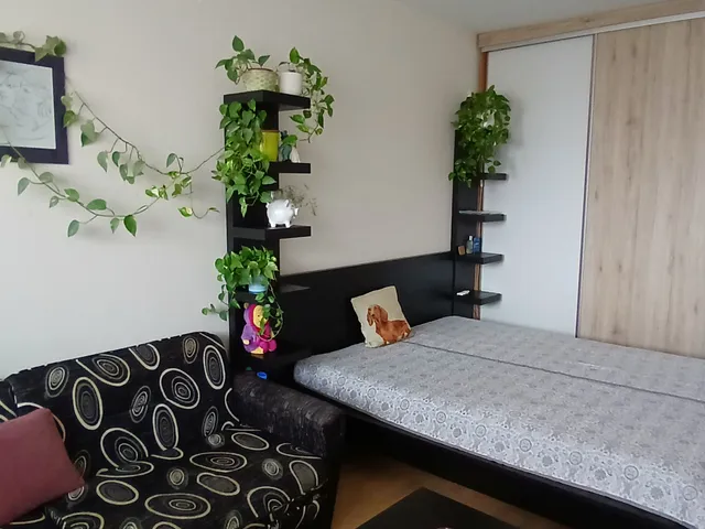 Eladó lakás Budapest XVII. kerület, Rákoskeresztúr 51 nm