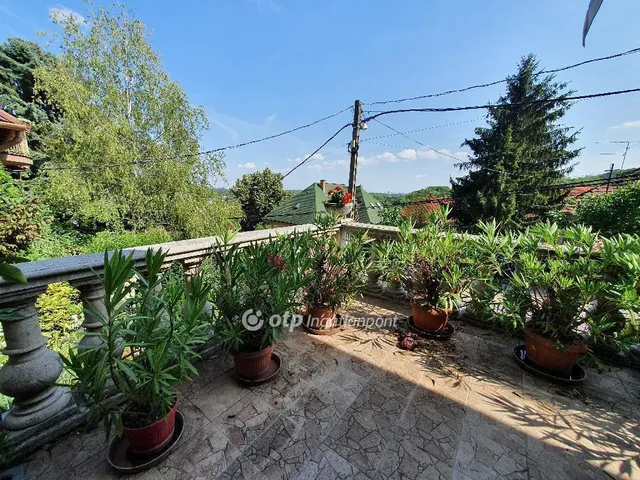 Eladó ház Budapest III. kerület, Aranyhegy 159 nm