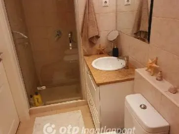 Eladó ház Budapest III. kerület, Aranyhegy 398 nm