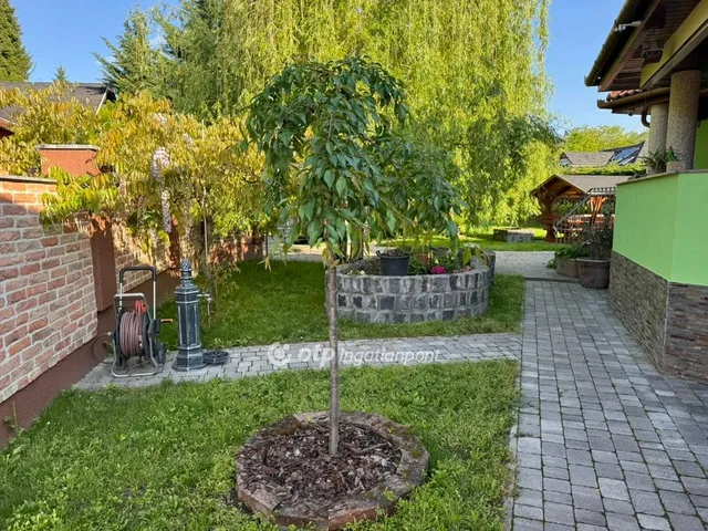 Eladó ház Szigetmonostor 124 nm