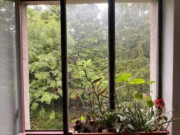 Eladó lakás Budapest II. kerület, Csatárka 57 nm