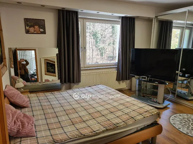 Eladó ház Budapest II. kerület, Petneházyrét 233 nm