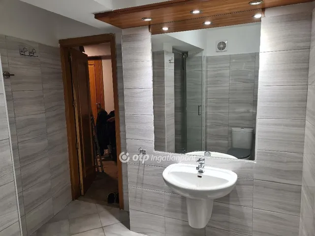 Eladó ház Budapest II. kerület, Petneházyrét 233 nm