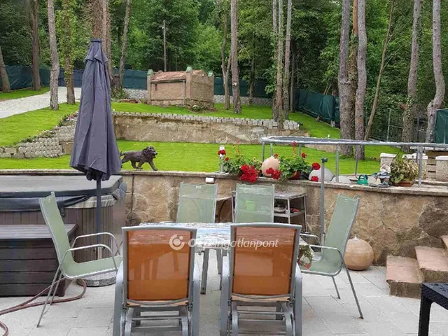 Eladó ház Budapest II. kerület, Petneházyrét 233 nm