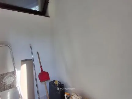 Eladó ház Budapest II. kerület, Budaliget 219 nm