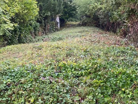 Eladó telek Budapest III. kerület, Csúcshegy 1715 nm