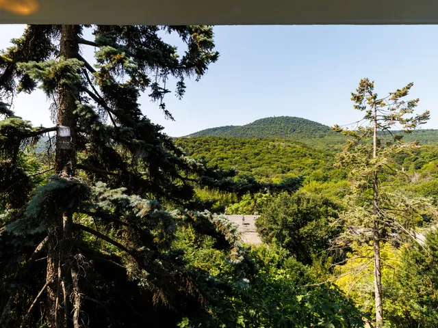 Eladó lakás Budapest II. kerület, Hárshegy 96 nm