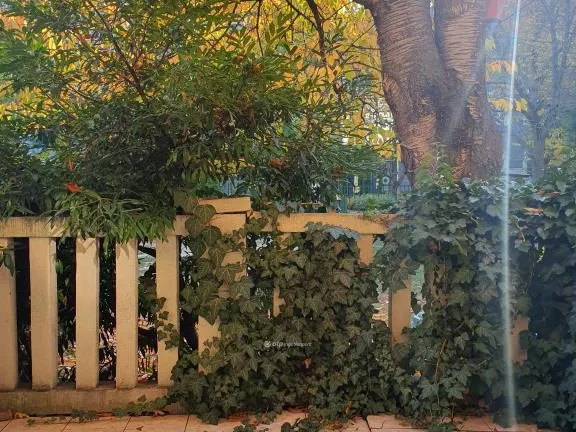 Eladó lakás Budapest II. kerület, Pasarét 65 nm