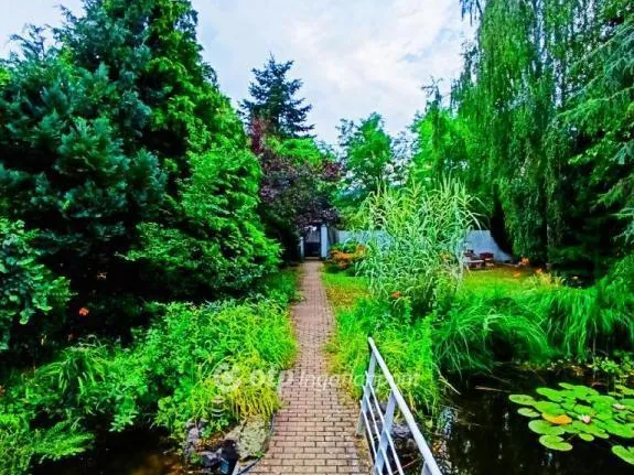 Eladó ház Kisoroszi 333 nm