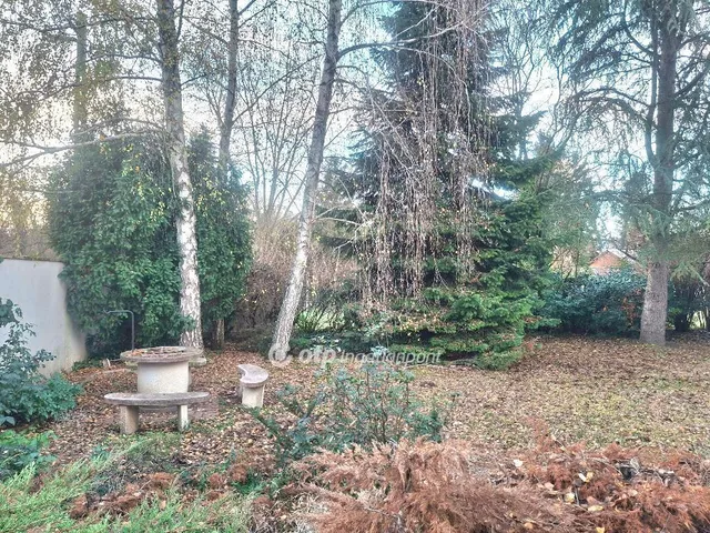 Eladó ház Kisoroszi 333 nm