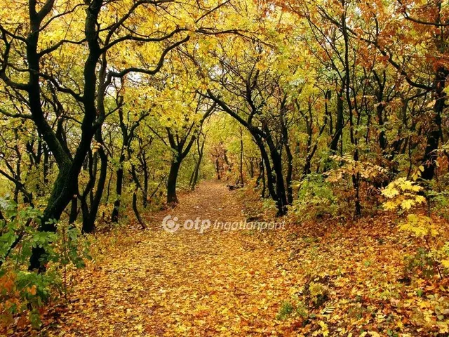 Eladó lakás Budapest II. kerület 60 nm