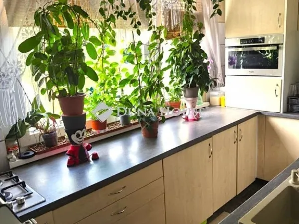 Eladó lakás Szeged 77 nm