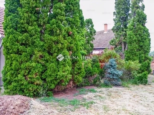 Eladó ház Szeged, Szőreg 116 nm