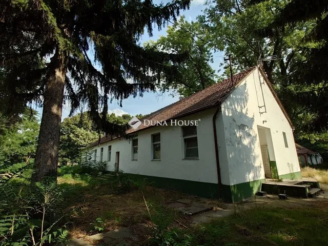 Eladó ház Kecskemét 300 nm