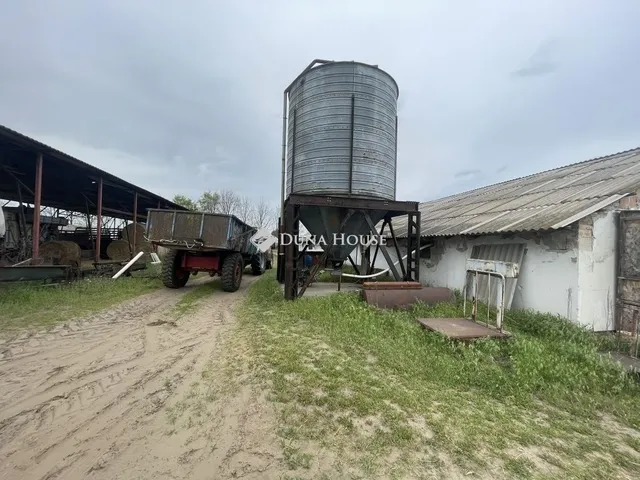 Eladó mezőgazdasági ingatlan Domaszék 117 nm