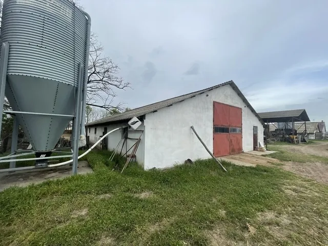 Eladó mezőgazdasági ingatlan Domaszék 117 nm