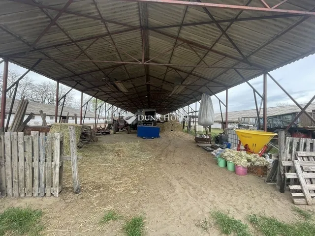 Eladó mezőgazdasági ingatlan Domaszék 117 nm