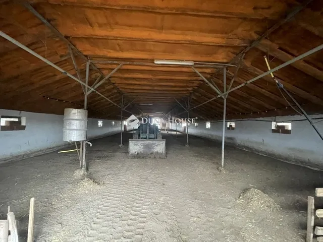 Eladó mezőgazdasági ingatlan Domaszék 117 nm