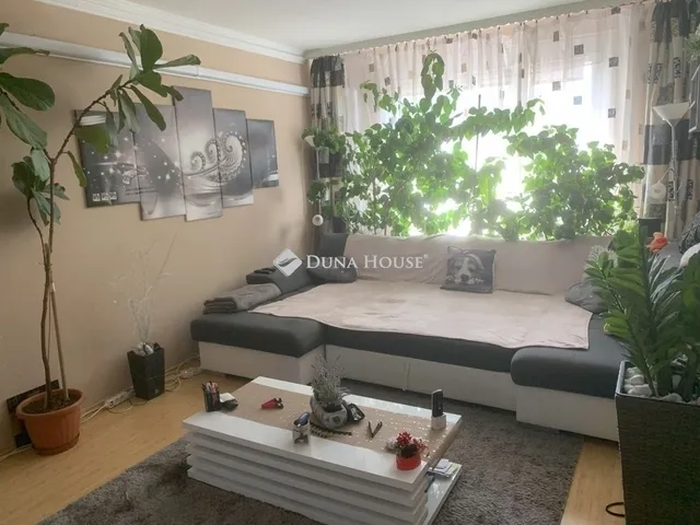 Eladó lakás Szeged, Tarján 77 nm