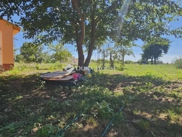 Eladó mezőgazdasági ingatlan Szeged 59 nm