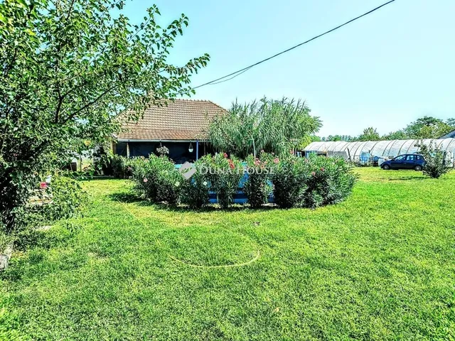 Eladó mezőgazdasági ingatlan Szatymaz 170 nm