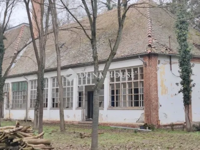 Eladó ház Hódmezővásárhely 179 nm