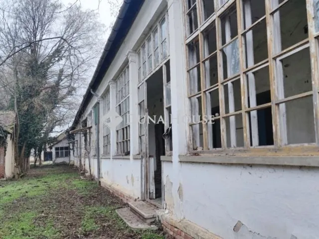 Eladó ház Hódmezővásárhely 179 nm