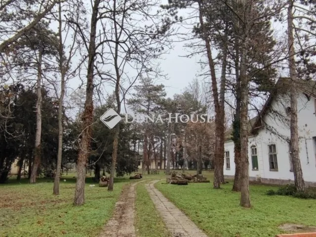 Eladó ház Hódmezővásárhely 179 nm