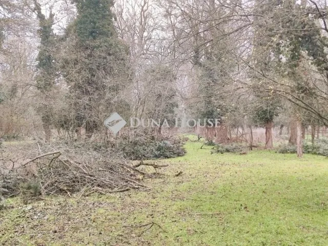 Eladó ház Hódmezővásárhely 179 nm