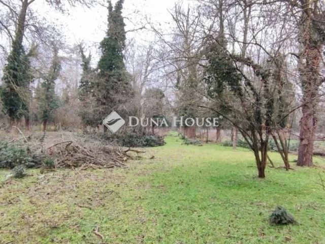 Eladó ház Hódmezővásárhely 179 nm