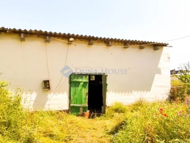 Eladó mezőgazdasági ingatlan Pusztaszer 100 nm