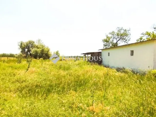 Eladó mezőgazdasági ingatlan Pusztaszer 100 nm