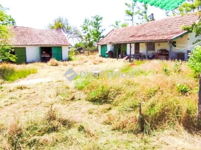 Eladó mezőgazdasági ingatlan Pusztaszer 100 nm