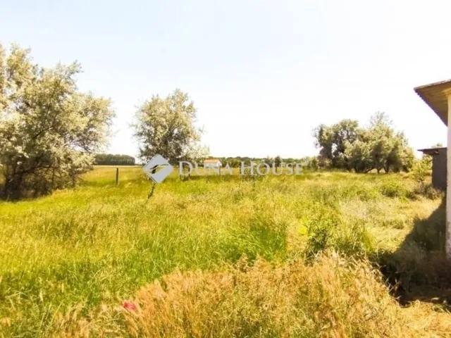 Eladó mezőgazdasági ingatlan Pusztaszer 100 nm