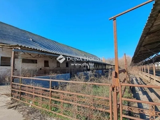 Eladó mezőgazdasági ingatlan Hódmezővásárhely 540 nm