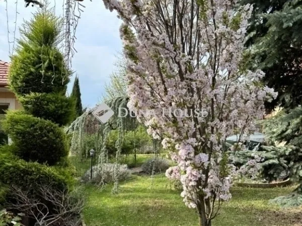 Eladó ház Szeged 550 nm